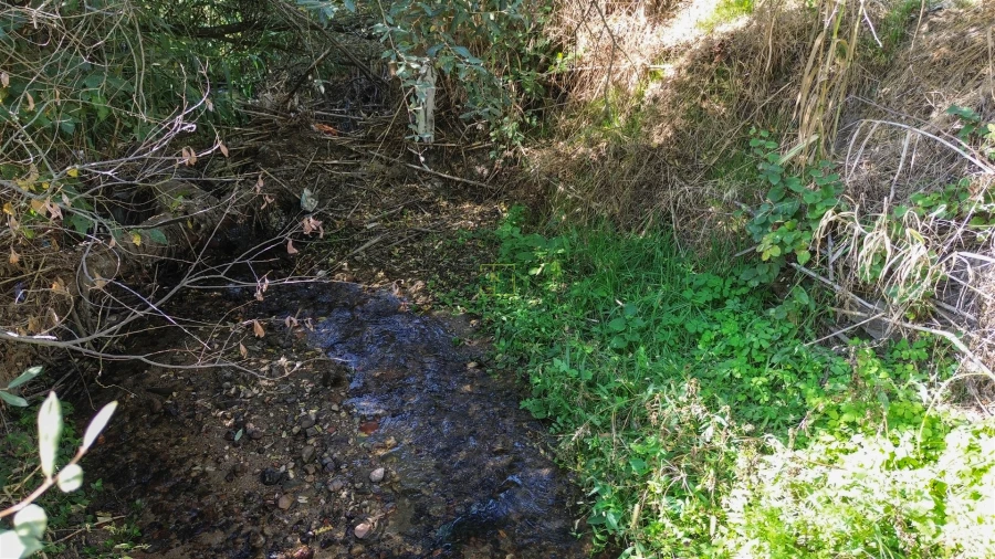 Terreno Agricola ou Rústico para Venda em Ladoeiro Foto 24