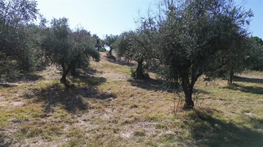 Terreno Agricola ou Rústico para Venda em Ladoeiro Foto 26