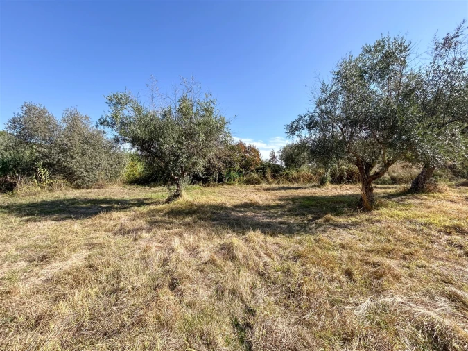 Terreno Agricola ou Rústico para Venda em Ladoeiro Foto 46