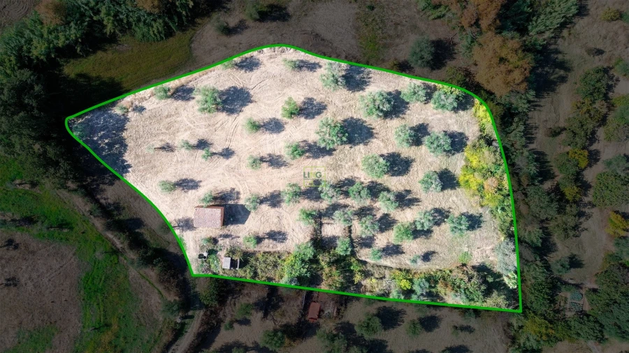 Terreno Agricola ou Rústico para Venda em Ladoeiro Foto 4