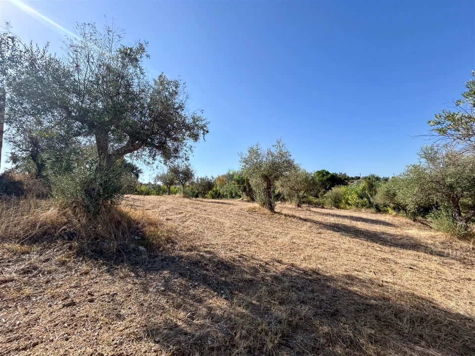 Terreno Agricola ou Rústico para Venda em Ladoeiro Foto 49