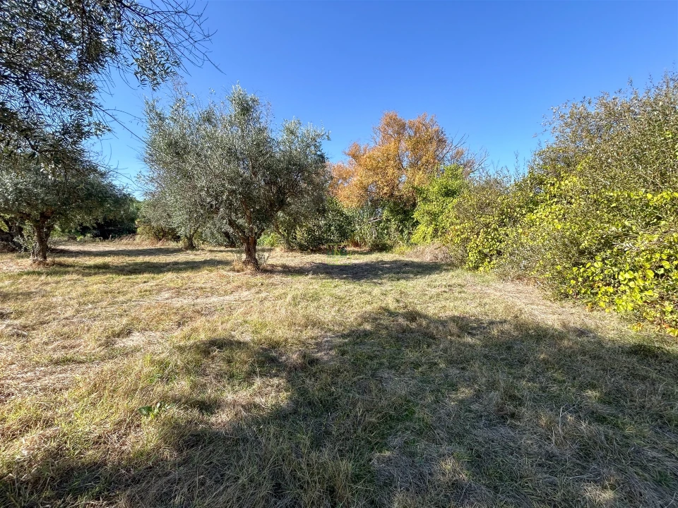 Terreno Agricola ou Rústico para Venda em Ladoeiro Foto 45