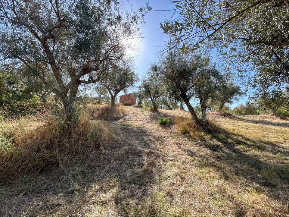 Terreno Agricola ou Rústico para Venda em Ladoeiro Foto 48