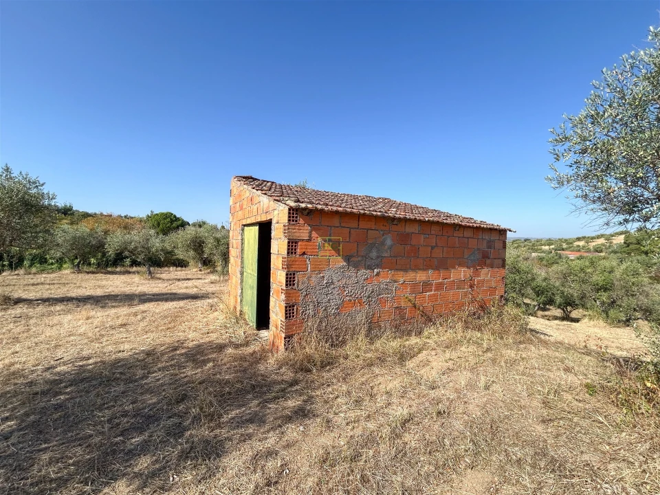 Terreno Agricola ou Rústico para Venda em Ladoeiro Foto 52