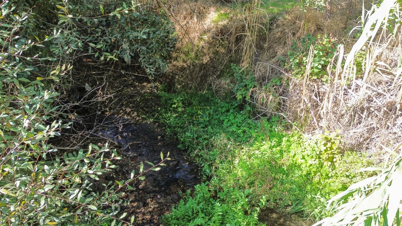 Terreno Agricola ou Rústico para Venda em Ladoeiro Foto 23