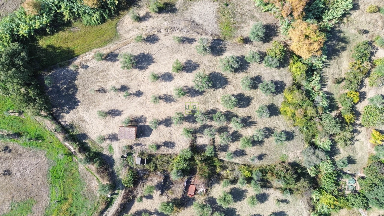 Terreno Agricola ou Rústico para Venda em Ladoeiro Foto 3