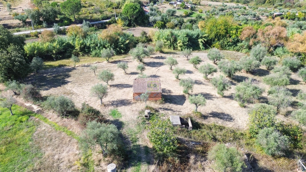 Terreno Agricola ou Rústico para Venda em Ladoeiro Foto 11