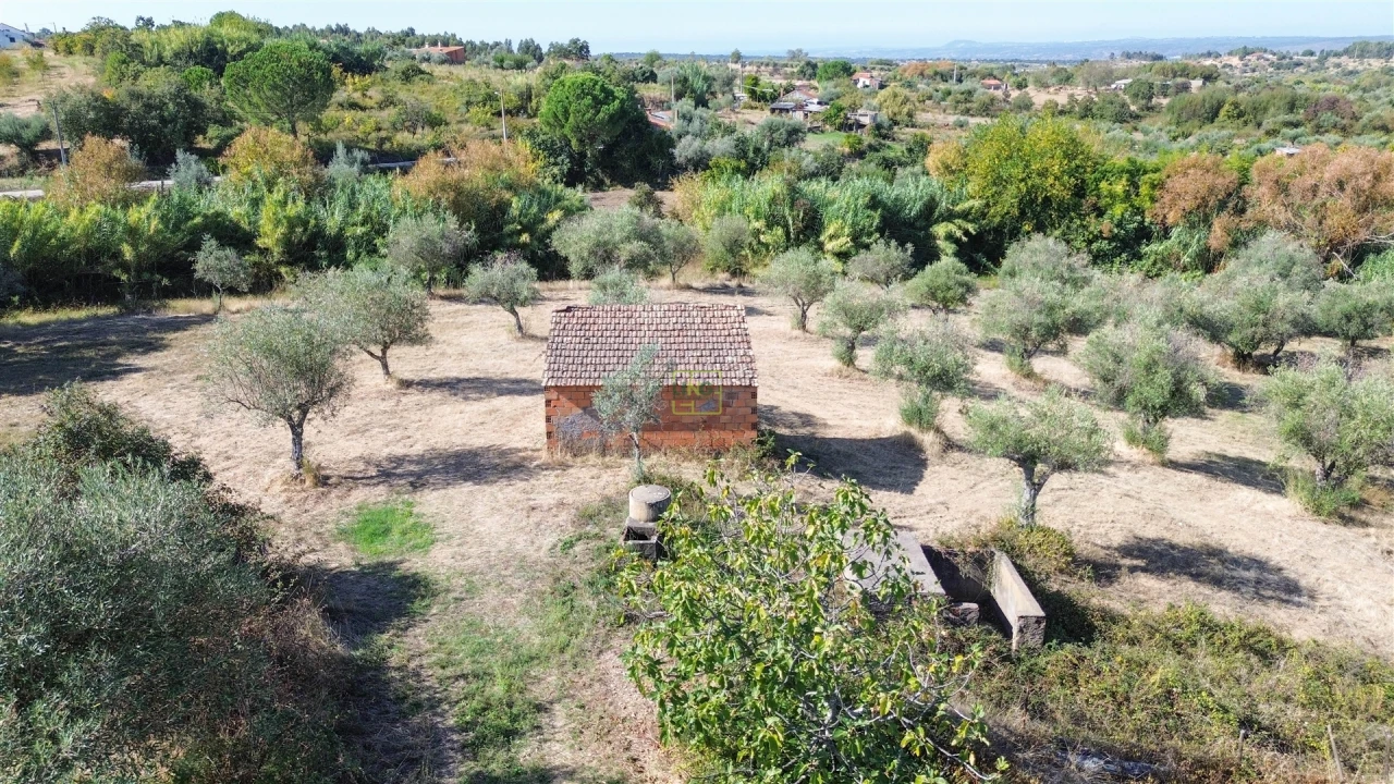 Terreno Agricola ou Rústico para Venda em Ladoeiro Foto 12