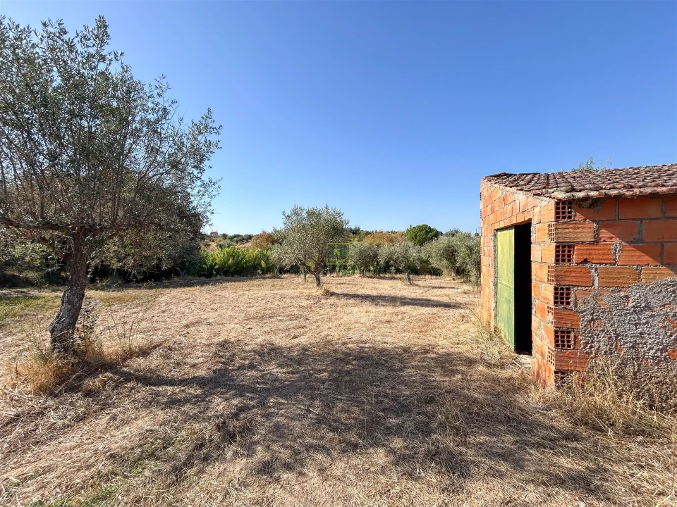 Terreno Agricola ou Rústico para Venda em Ladoeiro Foto 51