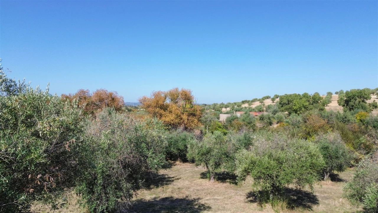 Terreno Agricola ou Rústico para Venda em Ladoeiro Foto 33