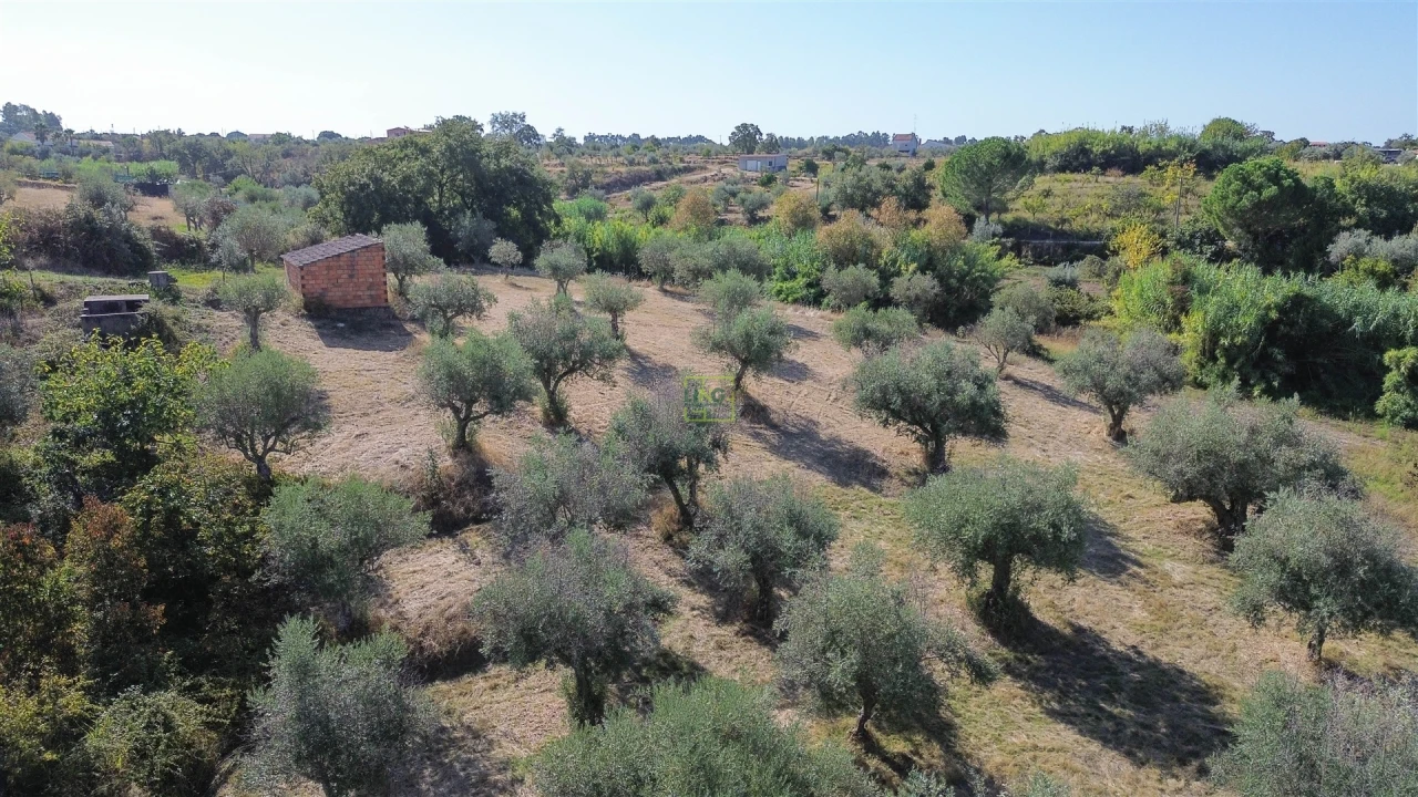 Terreno Agricola ou Rústico para Venda em Ladoeiro Foto 17