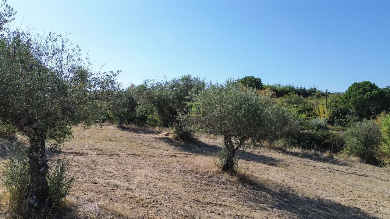 Terreno Agricola ou Rústico para Venda em Ladoeiro Foto 32