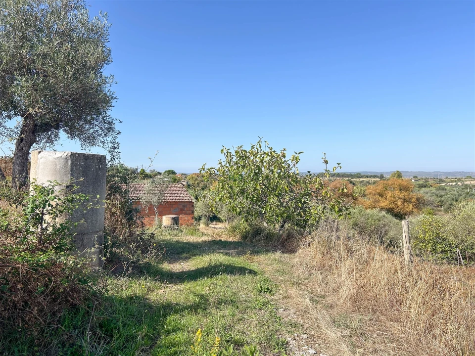 Terreno Agricola ou Rústico para Venda em Ladoeiro Foto 2