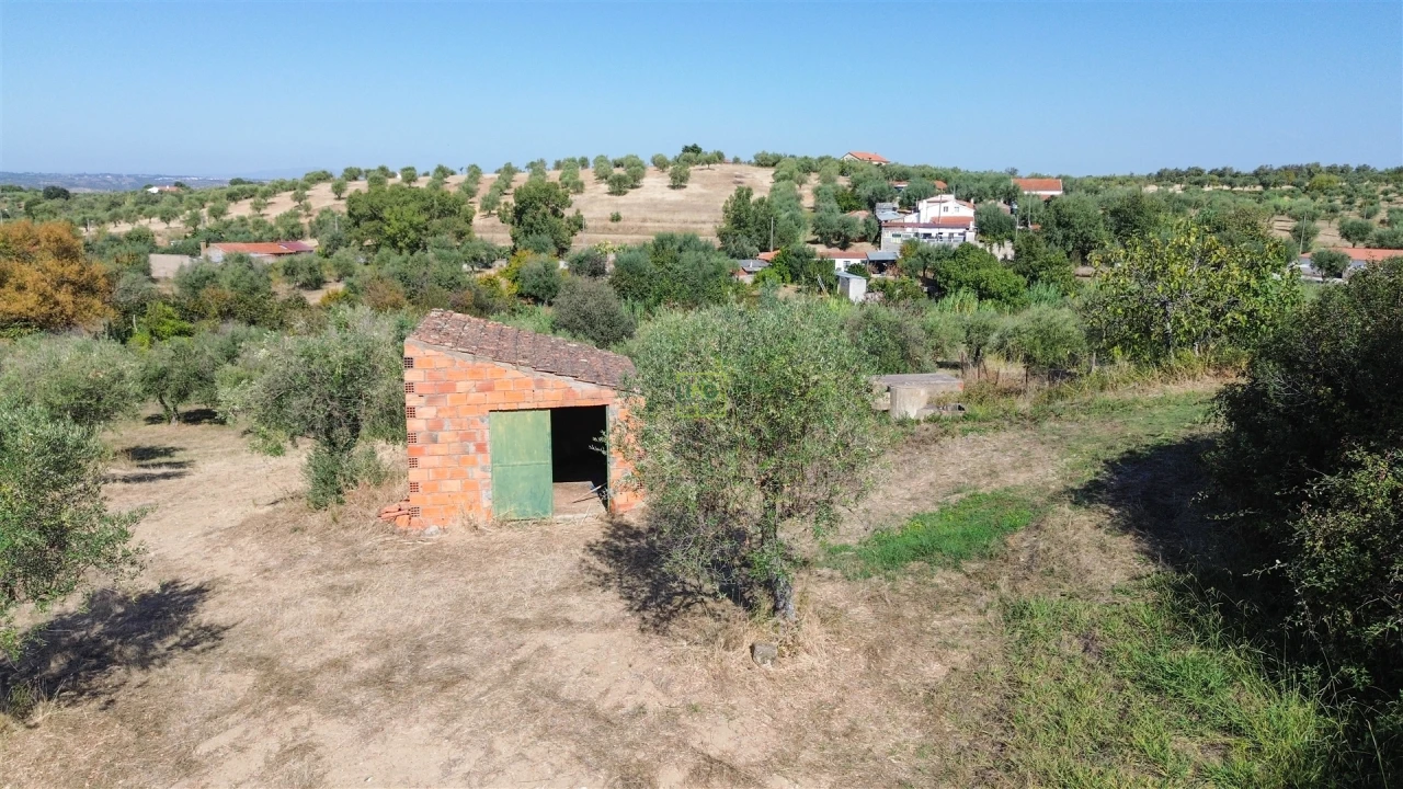 Terreno Agricola ou Rústico para Venda em Ladoeiro Foto 40