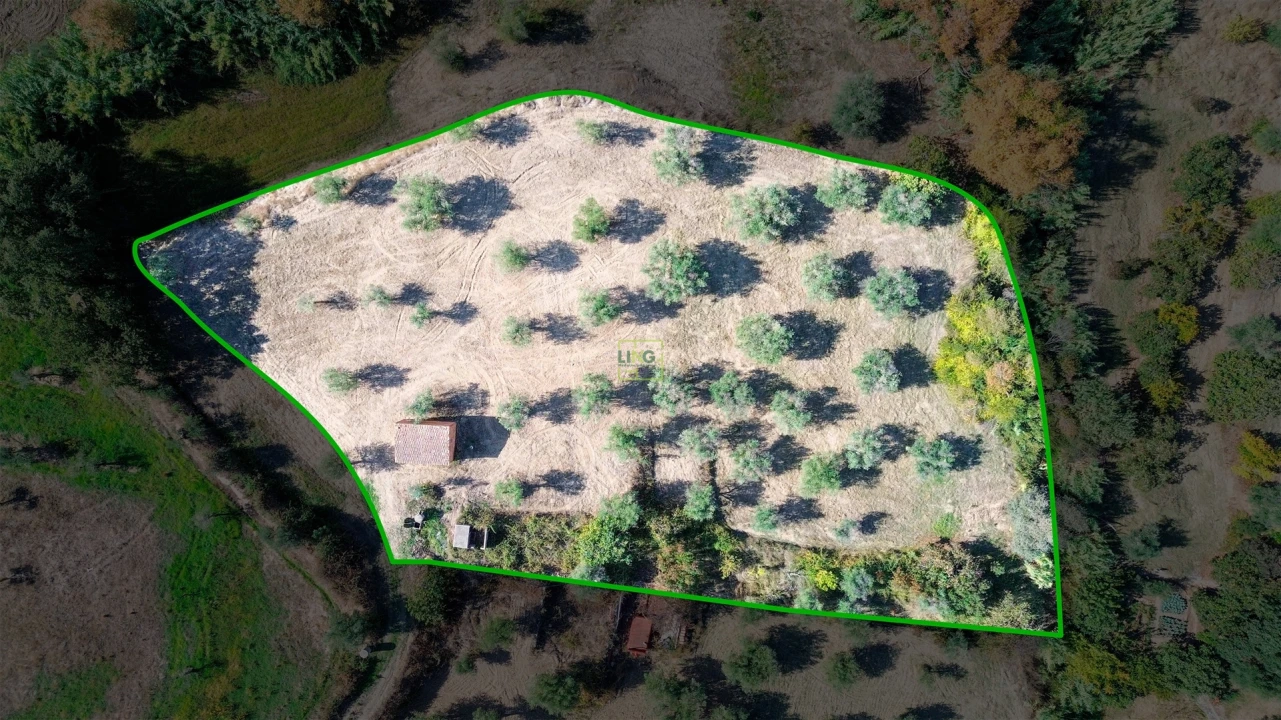 Terreno Agricola ou Rústico para Venda em Ladoeiro Foto 4