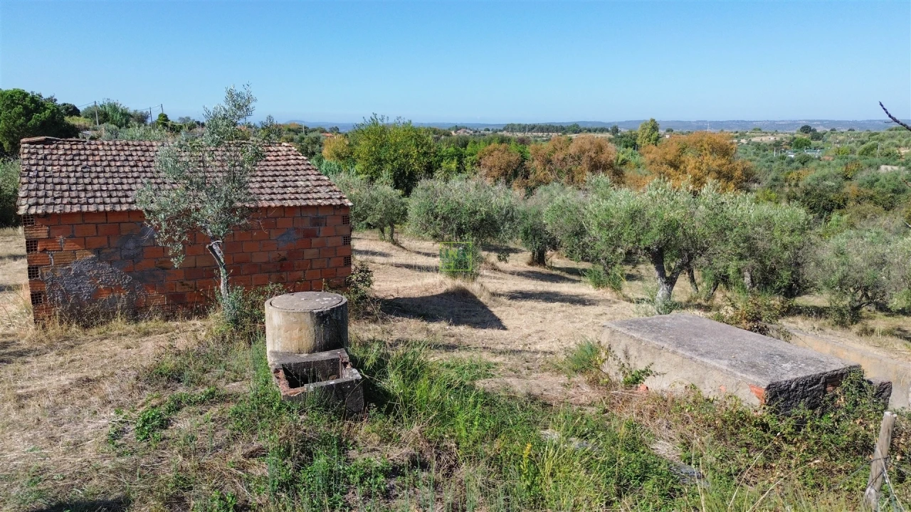 Terreno Agricola ou Rústico para Venda em Ladoeiro Foto 38