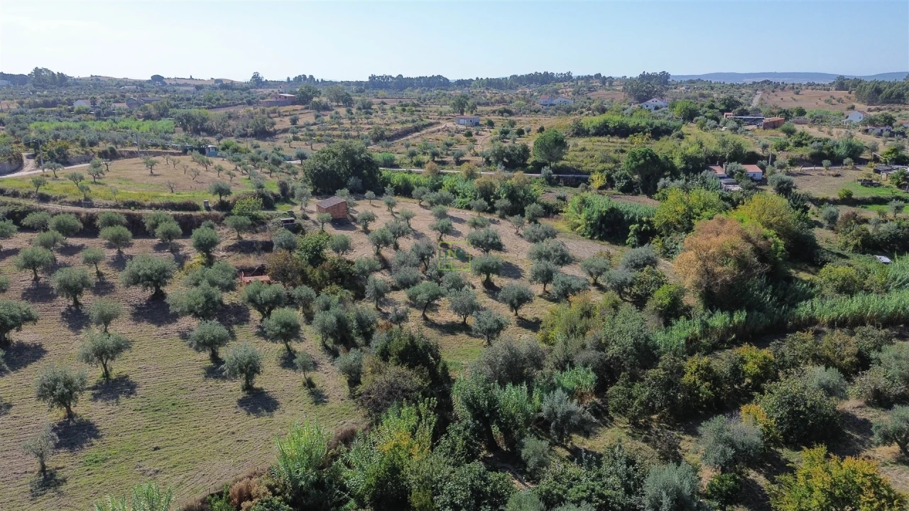 Terreno Agricola ou Rústico para Venda em Ladoeiro Foto 18