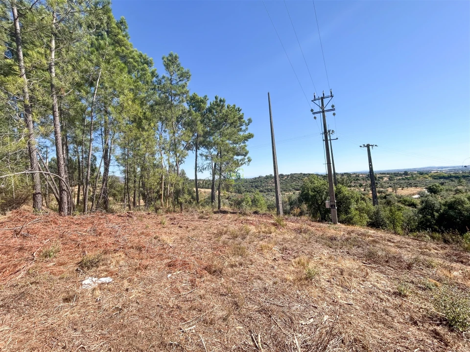 Terreno Agricola ou Rústico para Venda em Ninho do Açor e Sobral do Campo Foto 39