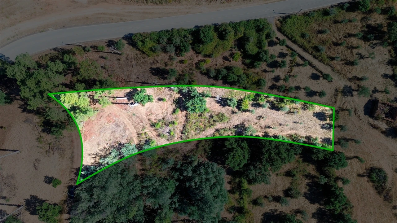 Terreno Agricola ou Rústico para Venda em Ninho do Açor e Sobral do Campo Foto 11