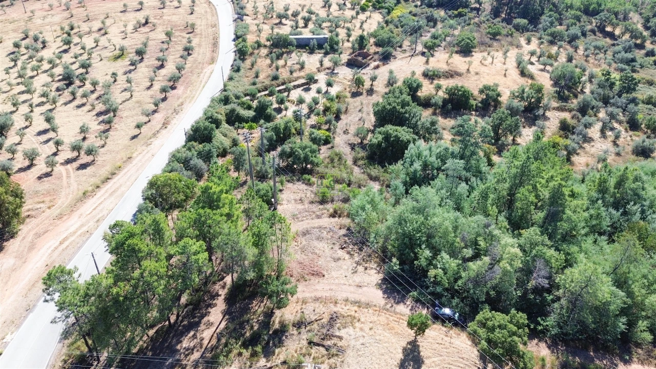 Terreno Agricola ou Rústico para Venda em Ninho do Açor e Sobral do Campo Foto 30