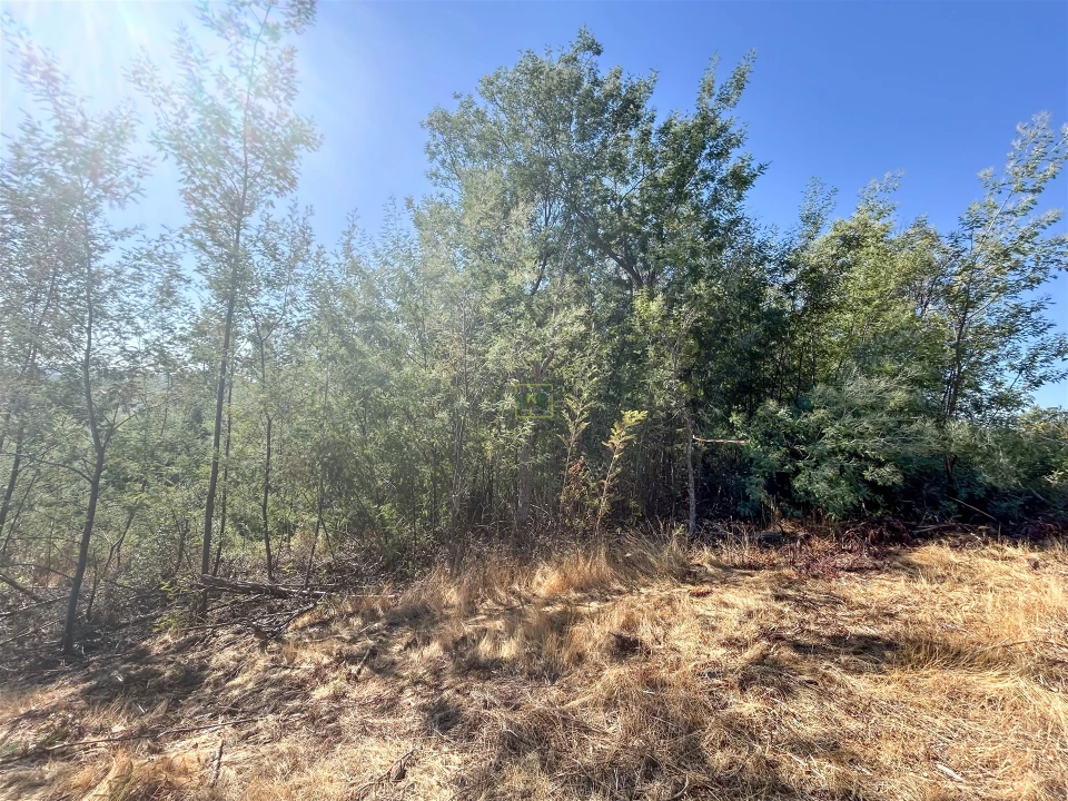 Terreno Agricola ou Rústico para Venda em Ninho do Açor e Sobral do Campo Foto 40