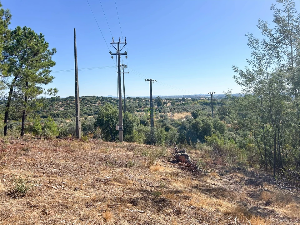 Terreno Agricola ou Rústico para Venda em Ninho do Açor e Sobral do Campo Foto 33
