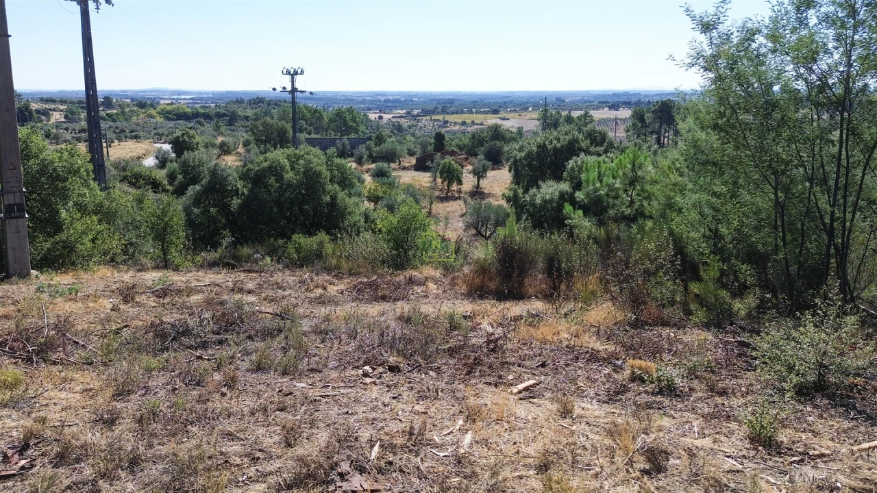 Terreno Agricola ou Rústico para Venda em Ninho do Açor e Sobral do Campo Foto 19