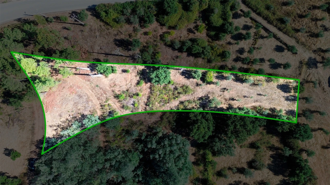 Terreno Agricola ou Rústico para Venda em Ninho do Açor e Sobral do Campo Foto 13