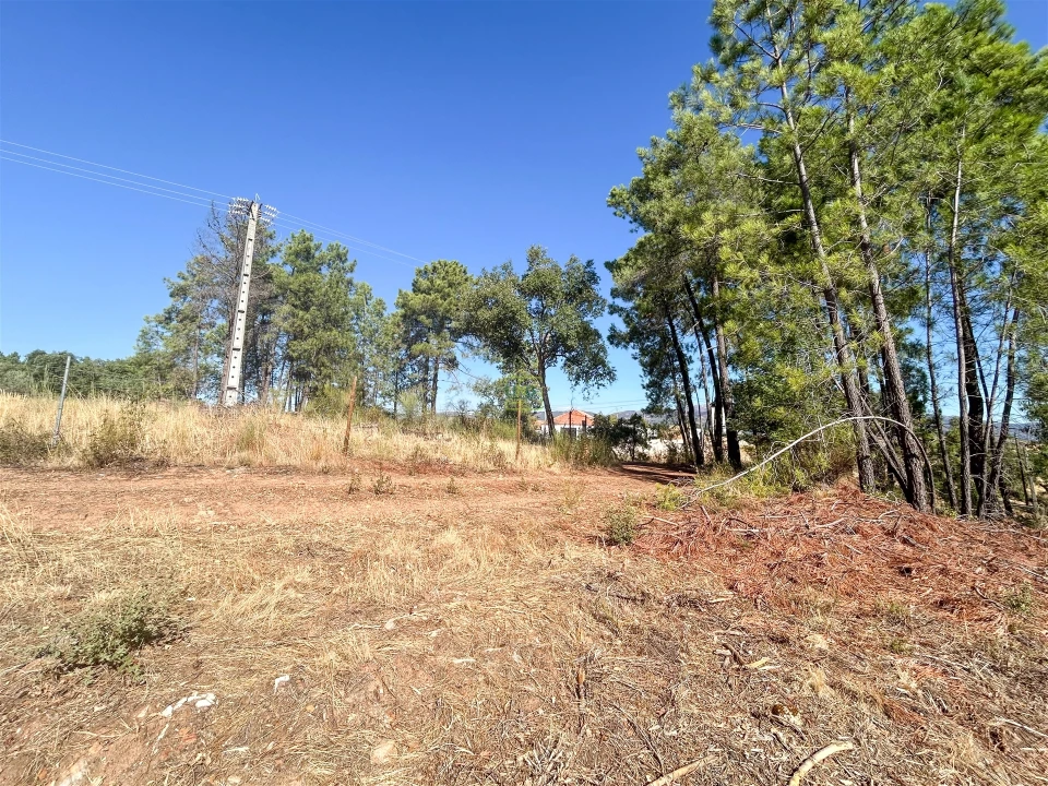 Terreno Agricola ou Rústico para Venda em Ninho do Açor e Sobral do Campo Foto 41