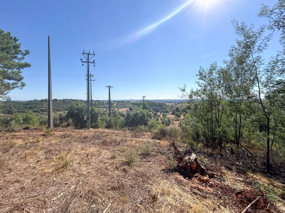 Terreno Agricola ou Rústico para Venda em Ninho do Açor e Sobral do Campo Foto 38