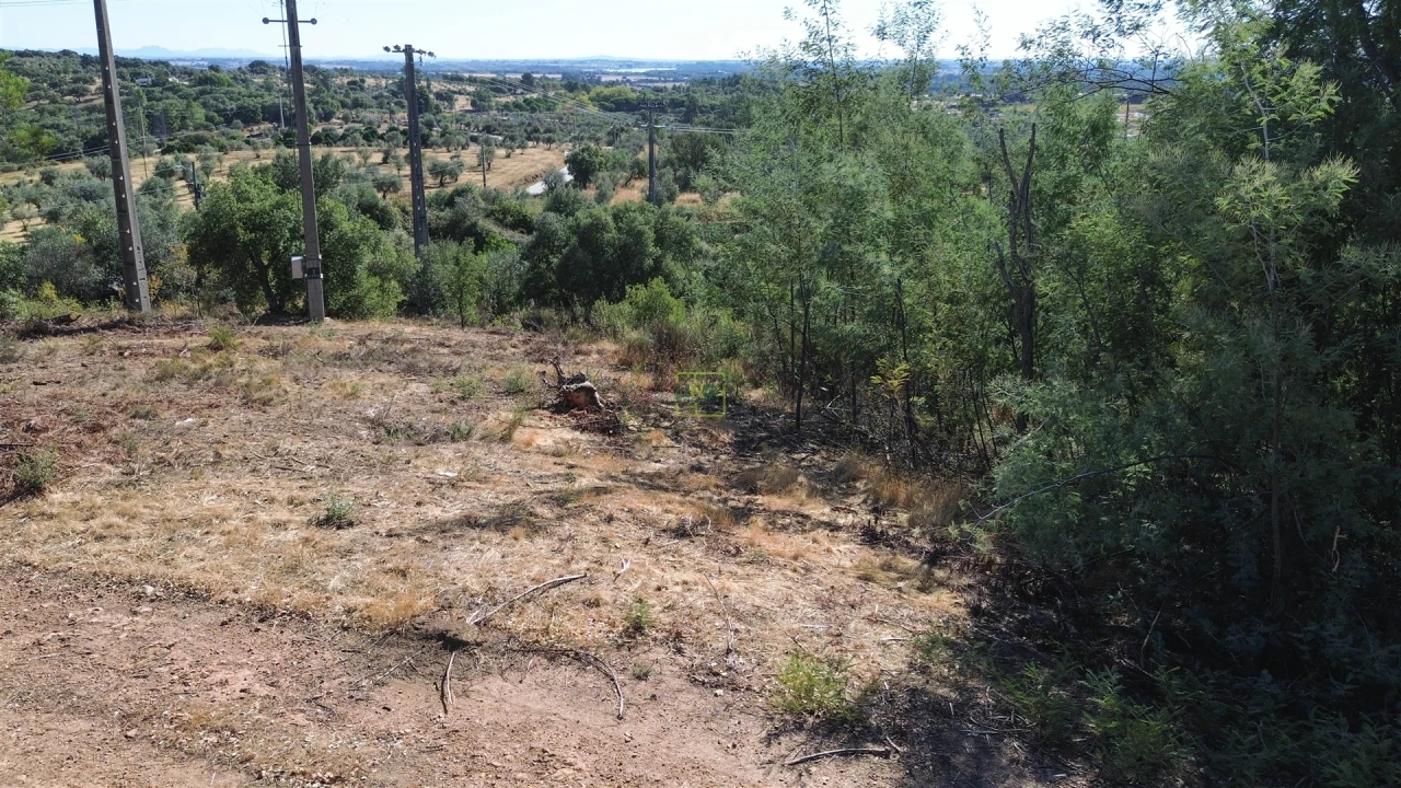 Terreno Agricola ou Rústico para Venda em Ninho do Açor e Sobral do Campo Foto 4