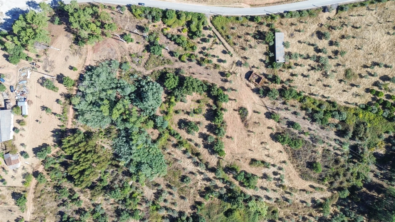 Terreno Agricola ou Rústico para Venda em Ninho do Açor e Sobral do Campo Foto 5