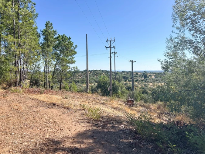 Terreno Agricola ou Rústico para Venda em Ninho do Açor e Sobral do Campo Foto 32