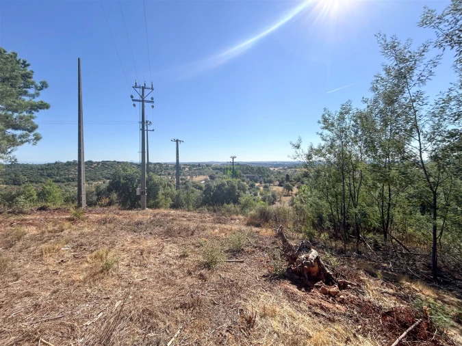 Terreno Agricola ou Rústico para Venda em Ninho do Açor e Sobral do Campo Foto 38