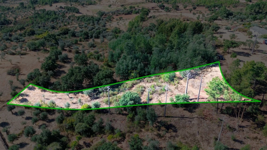 Terreno Agricola ou Rústico para Venda em Ninho do Açor e Sobral do Campo Foto 28