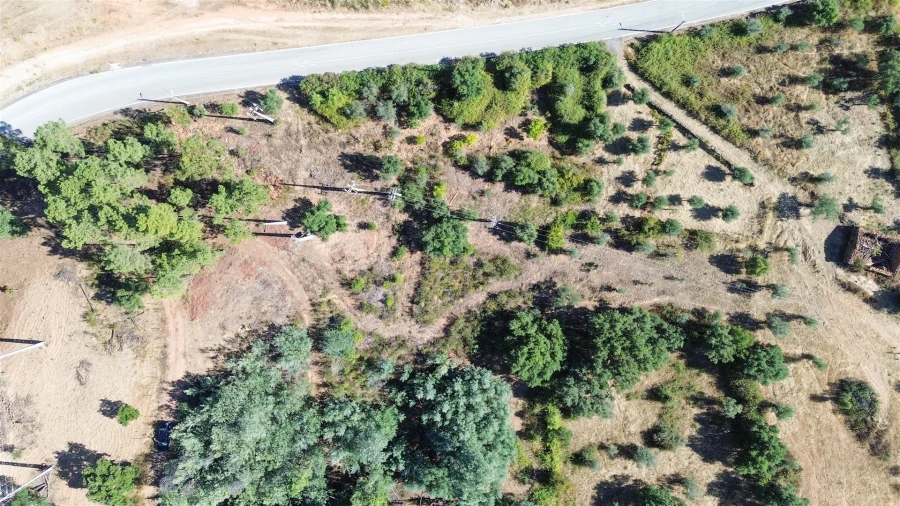 Terreno Agricola ou Rústico para Venda em Ninho do Açor e Sobral do Campo Foto 10