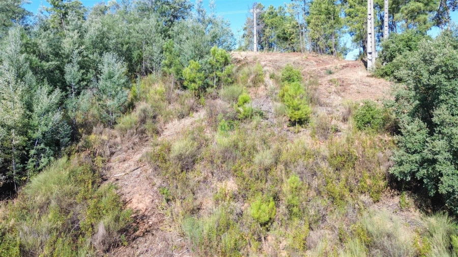 Terreno Agricola ou Rústico para Venda em Ninho do Açor e Sobral do Campo Foto 20