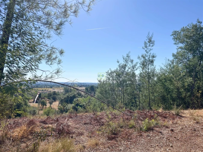 Terreno Agricola ou Rústico para Venda em Ninho do Açor e Sobral do Campo Foto 36