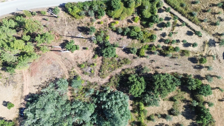Terreno Agricola ou Rústico para Venda em Ninho do Açor e Sobral do Campo Foto 12