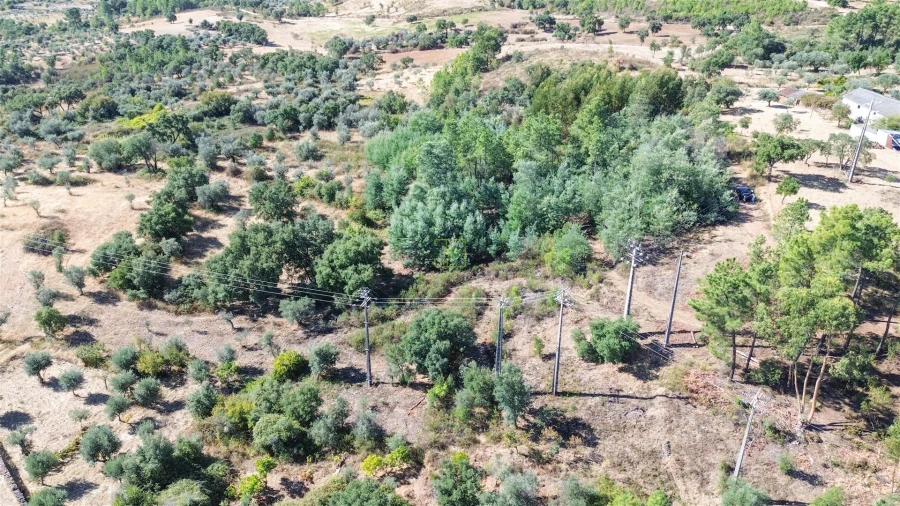 Terreno Agricola ou Rústico para Venda em Ninho do Açor e Sobral do Campo Foto 27
