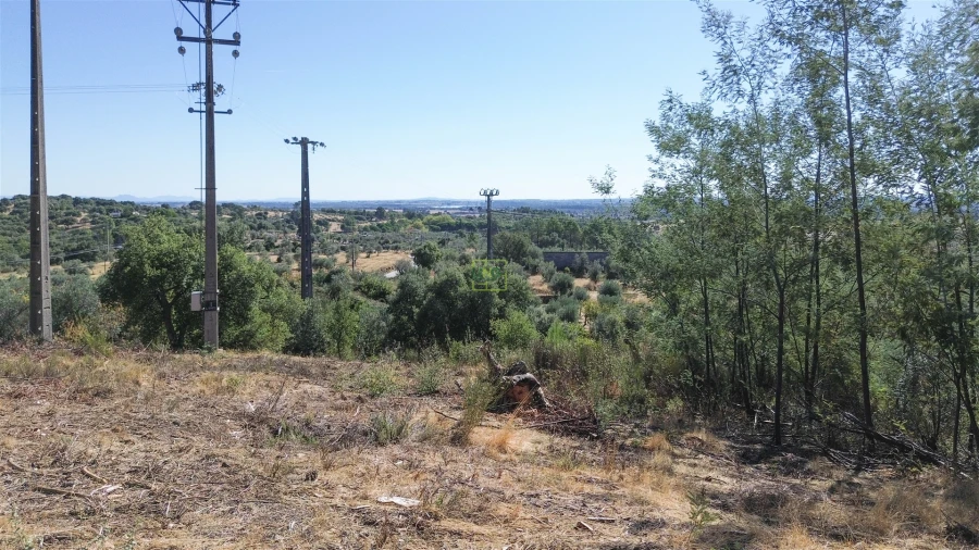 Terreno Agricola ou Rústico para Venda em Ninho do Açor e Sobral do Campo Foto 24