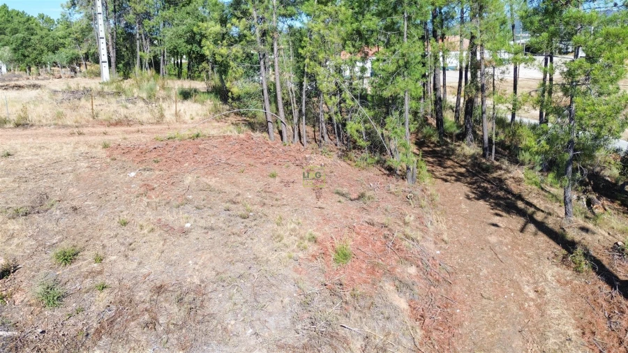 Terreno Agricola ou Rústico para Venda em Ninho do Açor e Sobral do Campo Foto 26