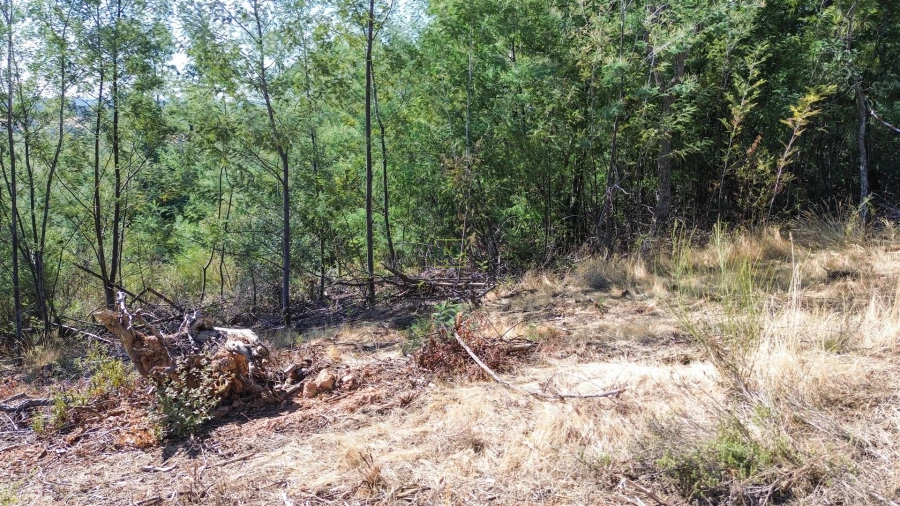 Terreno Agricola ou Rústico para Venda em Ninho do Açor e Sobral do Campo Foto 17