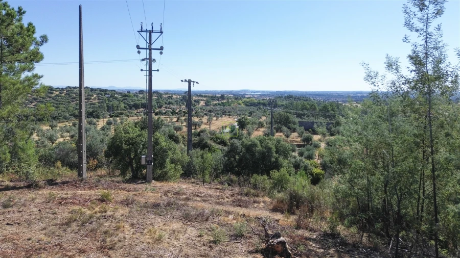 Terreno Agricola ou Rústico para Venda em Ninho do Açor e Sobral do Campo Foto 25