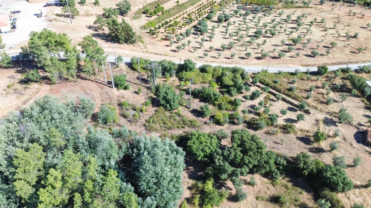 Terreno Agricola ou Rústico para Venda em Ninho do Açor e Sobral do Campo Foto 29