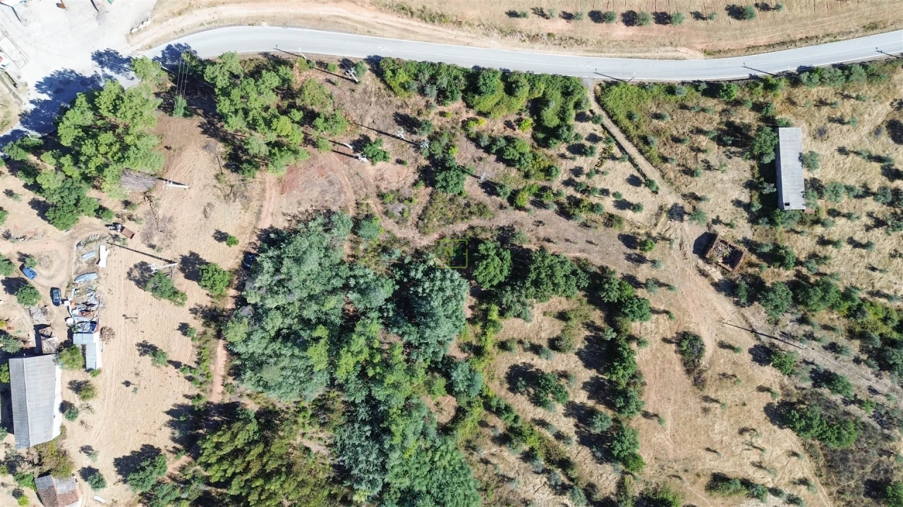 Terreno Agricola ou Rústico para Venda em Ninho do Açor e Sobral do Campo Foto 9
