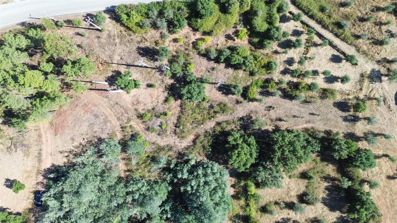 Terreno Agricola ou Rústico para Venda em Ninho do Açor e Sobral do Campo Foto 12