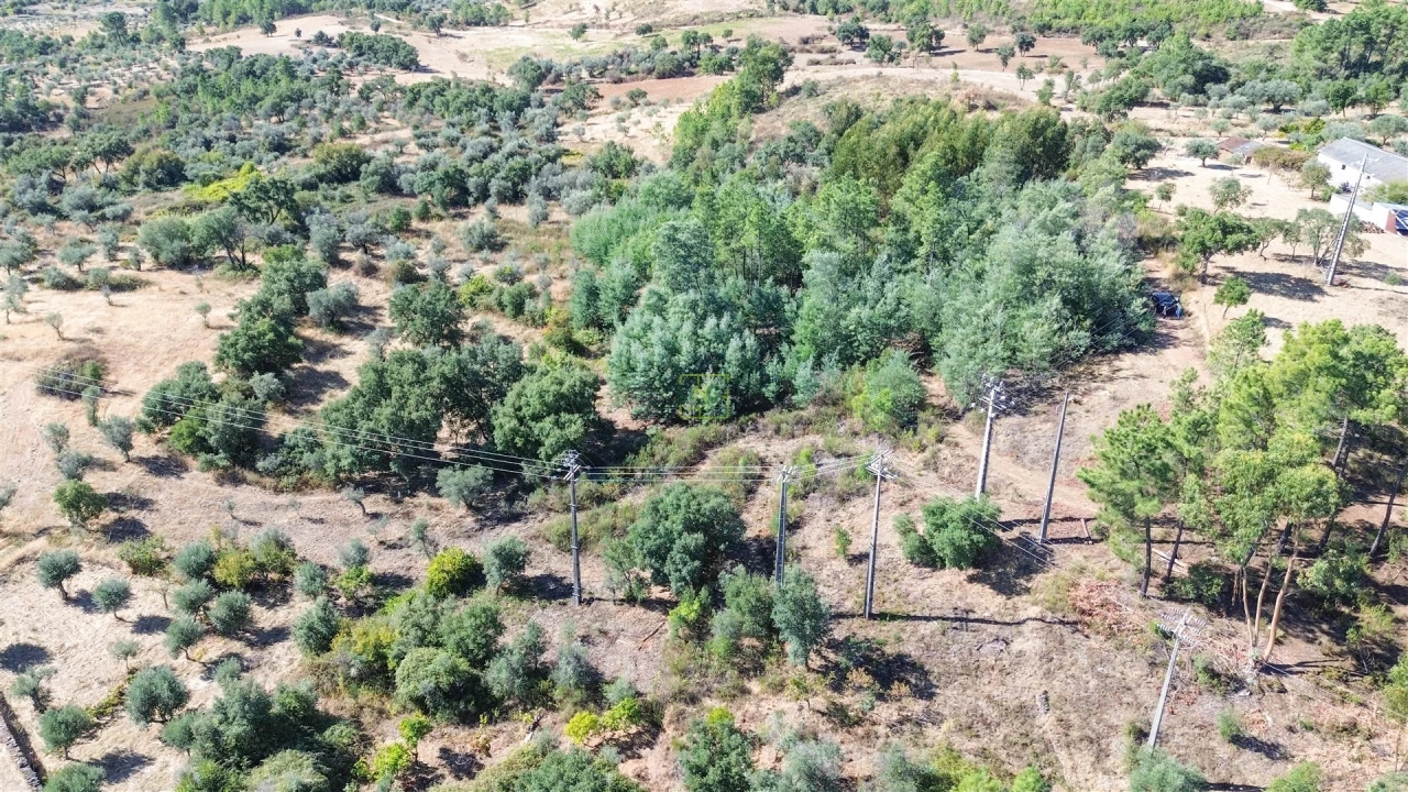 Terreno Agricola ou Rústico para Venda em Ninho do Açor e Sobral do Campo Foto 27