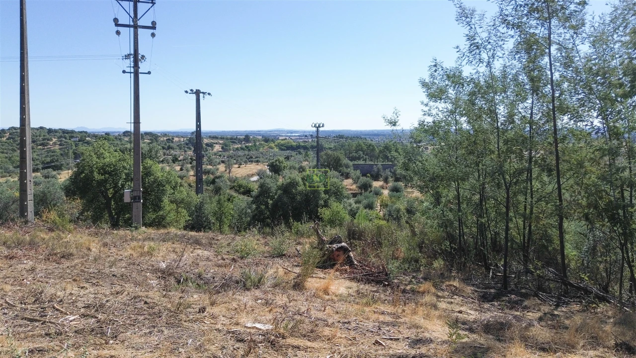Terreno Agricola ou Rústico para Venda em Ninho do Açor e Sobral do Campo Foto 24