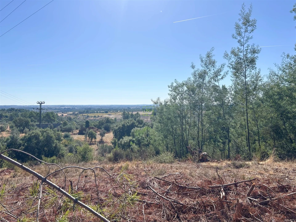 Terreno Agricola ou Rústico para Venda em Ninho do Açor e Sobral do Campo Foto 34